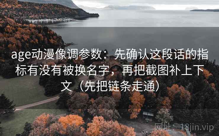 age动漫像调参数：先确认这段话的指标有没有被换名字，再把截图补上下文（先把链条走通）